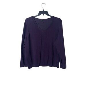 Talbots Plus Petite 3XP Knit Sweater Purple V-Neck Long Sleeve Stretch Pullover